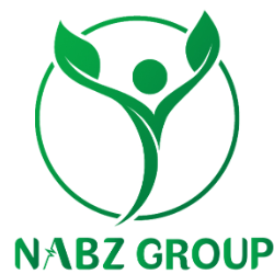 نبض هوشمند سلامت