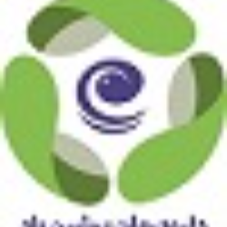 دارو درمان پرشین پاد