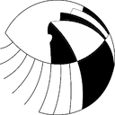 موسسه فروغ دانش پویا