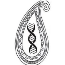 ارزیابان فناوری های سلامت محور