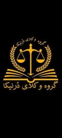 هلدینگ حقوقی درنیکا