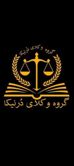 هلدینگ حقوقی درنیکا