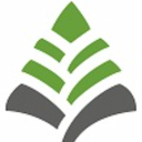 دانش پردازش کاج پارس