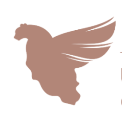 داروگستر نخبگان