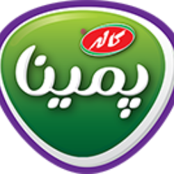 انجمادی سولیکو