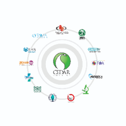 هلدینگ سرو پایدار ایرانیان