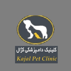 کلینیک دامپزشکی کژال