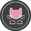 نیم‌کت