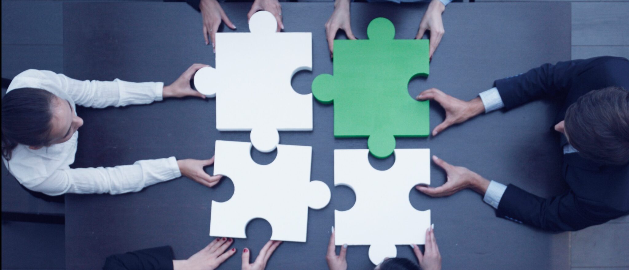 اعضای واحد مدیریت منابع انسانی