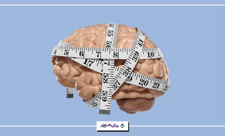 ضریب هوشی یا آی کیو نرمال