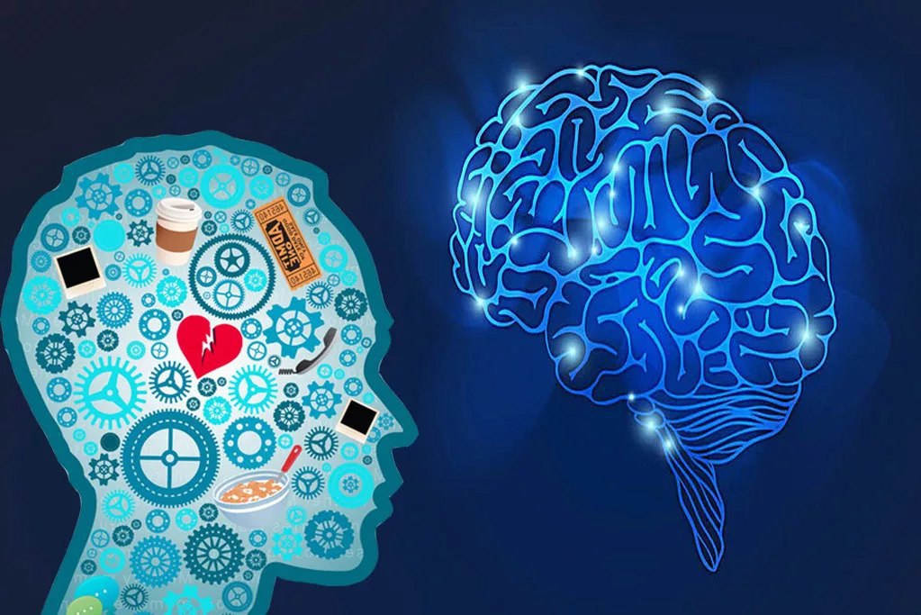 عملکردهای شناختی تیپ شخصیتی ISTJ 