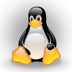 آموزش لینوکس از صفر تا پیشرفته در دانشکار