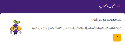 اسکیل‌کمپ (آموزش برنامه‌نویسی)