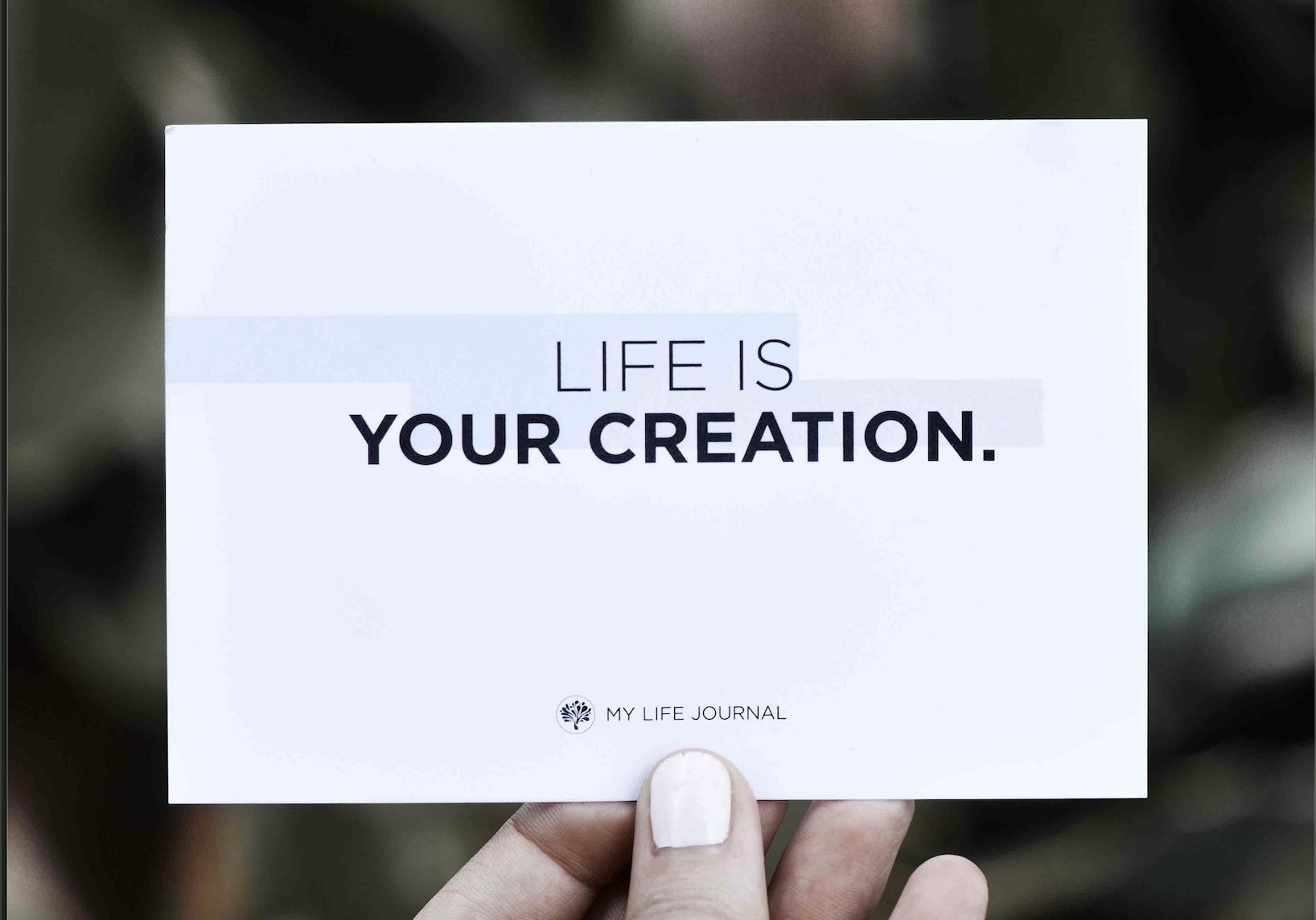 Life Is your Creation.