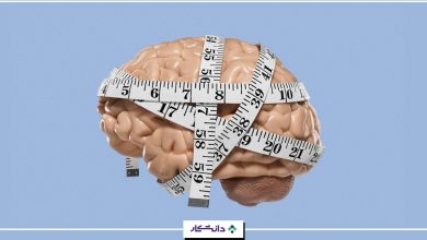 ضریب هوشی یا آی کیو نرمال