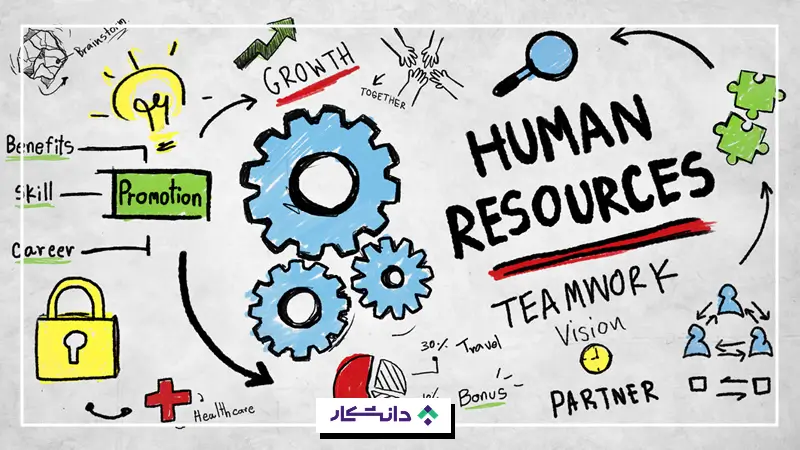 نقش‌های منابع انسانی