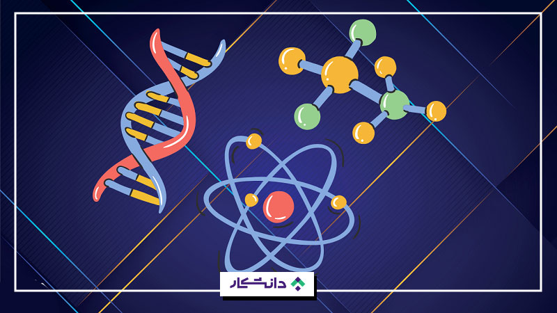 برنامهنویسی برای زیست و شیمی