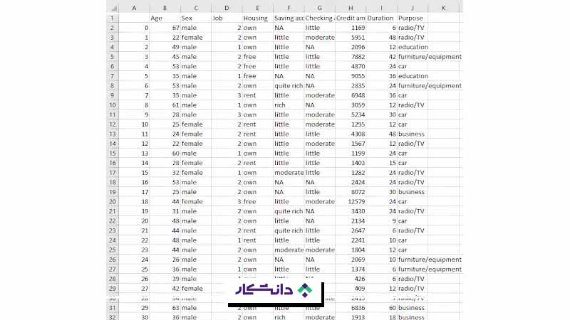 انواع دیتاست چیست؟