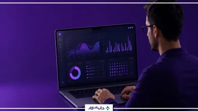 تحلیلگر داده کیست