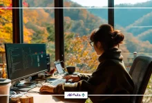 توسعه‌دهنده دات‌نت کیست؟